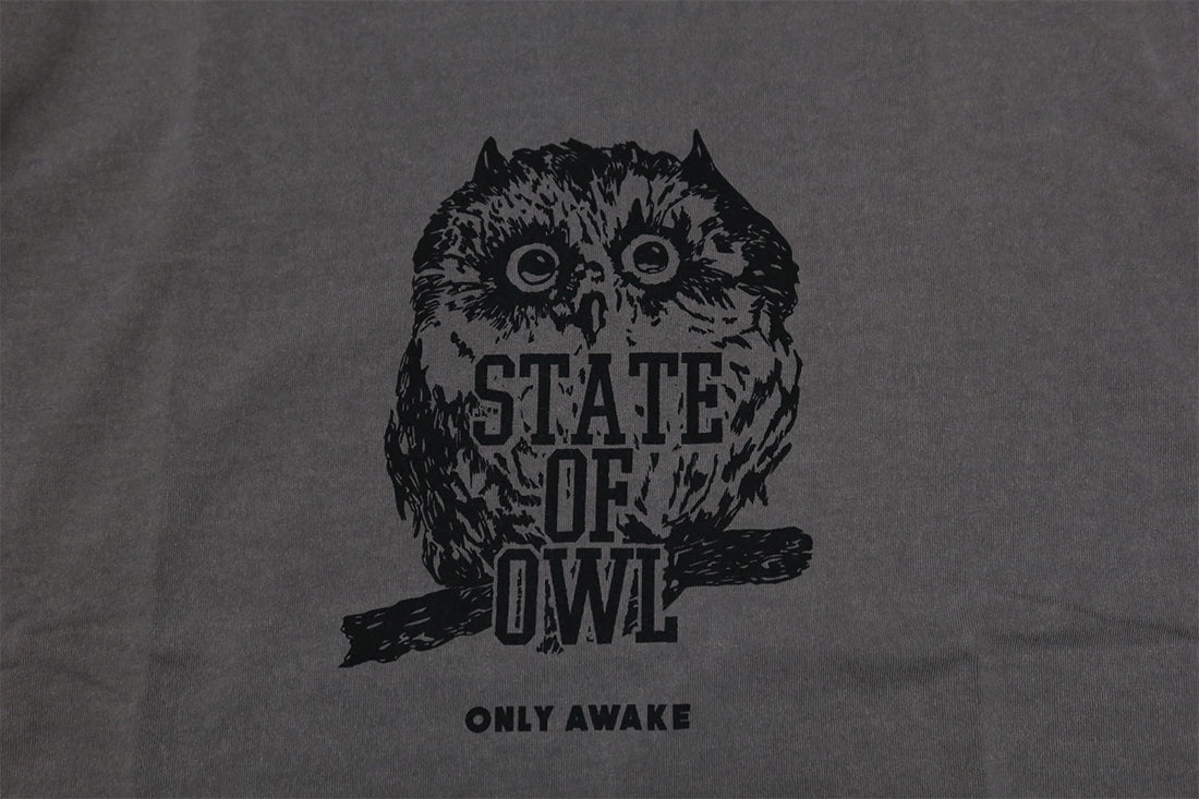 BARNS バーンズ Tシャツ"STATE OF OWL" フクロウ ピグメントダイ メンズ 半袖 BR-24305