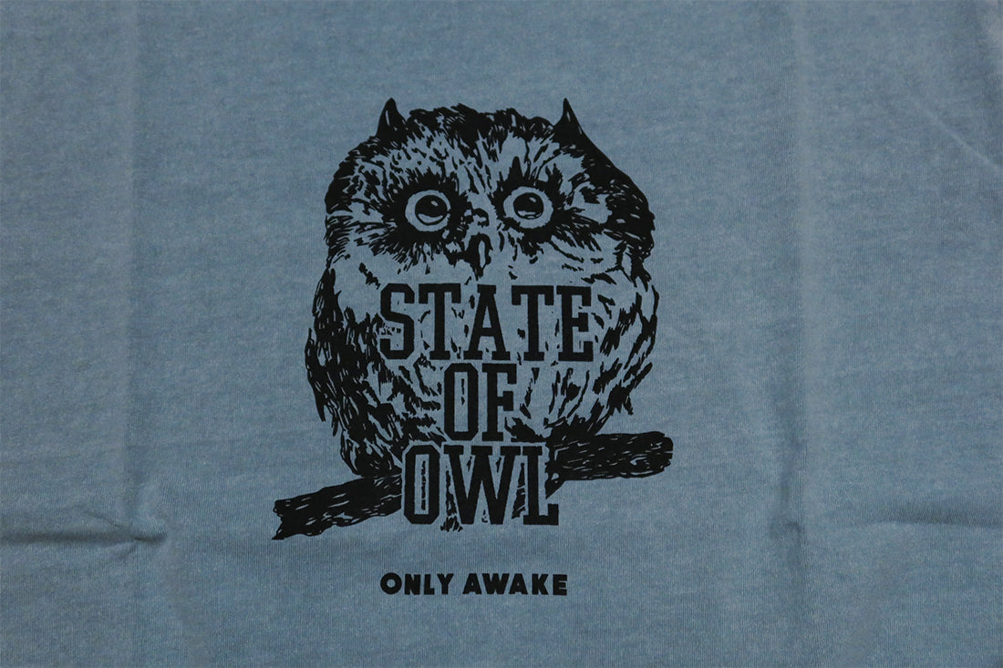 BARNS バーンズ Tシャツ"STATE OF OWL" フクロウ ピグメントダイ メンズ 半袖 BR-24305