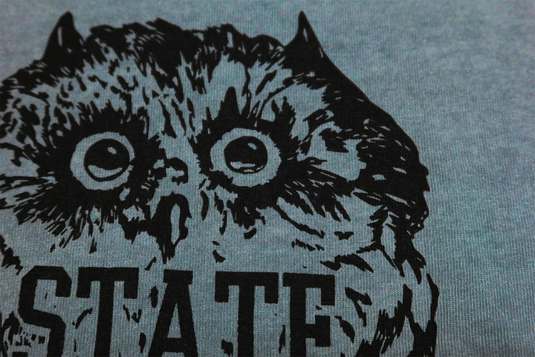 BARNS バーンズ Tシャツ"STATE OF OWL" フクロウ ピグメントダイ メンズ 半袖 BR-24305