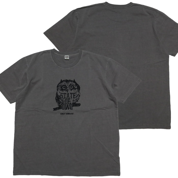 BARNS バーンズ Tシャツ"STATE OF OWL" フクロウ ピグメントダイ メンズ 半袖 BR-24305