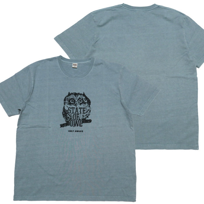 BARNS バーンズ Tシャツ"STATE OF OWL" フクロウ ピグメントダイ メンズ 半袖 BR-24305